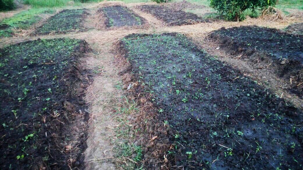 WhatsApp Image 2024-09-13 à 09.17.12_79b95b6b